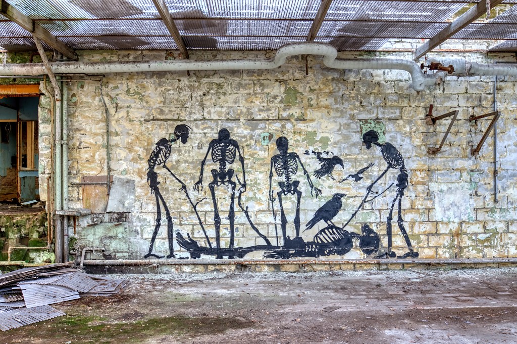 HDR graffiti streetart street-art street art skeleton factory urbex roa klaas van der linden kunst kunstwerk decay verlaten lost place places abandoned